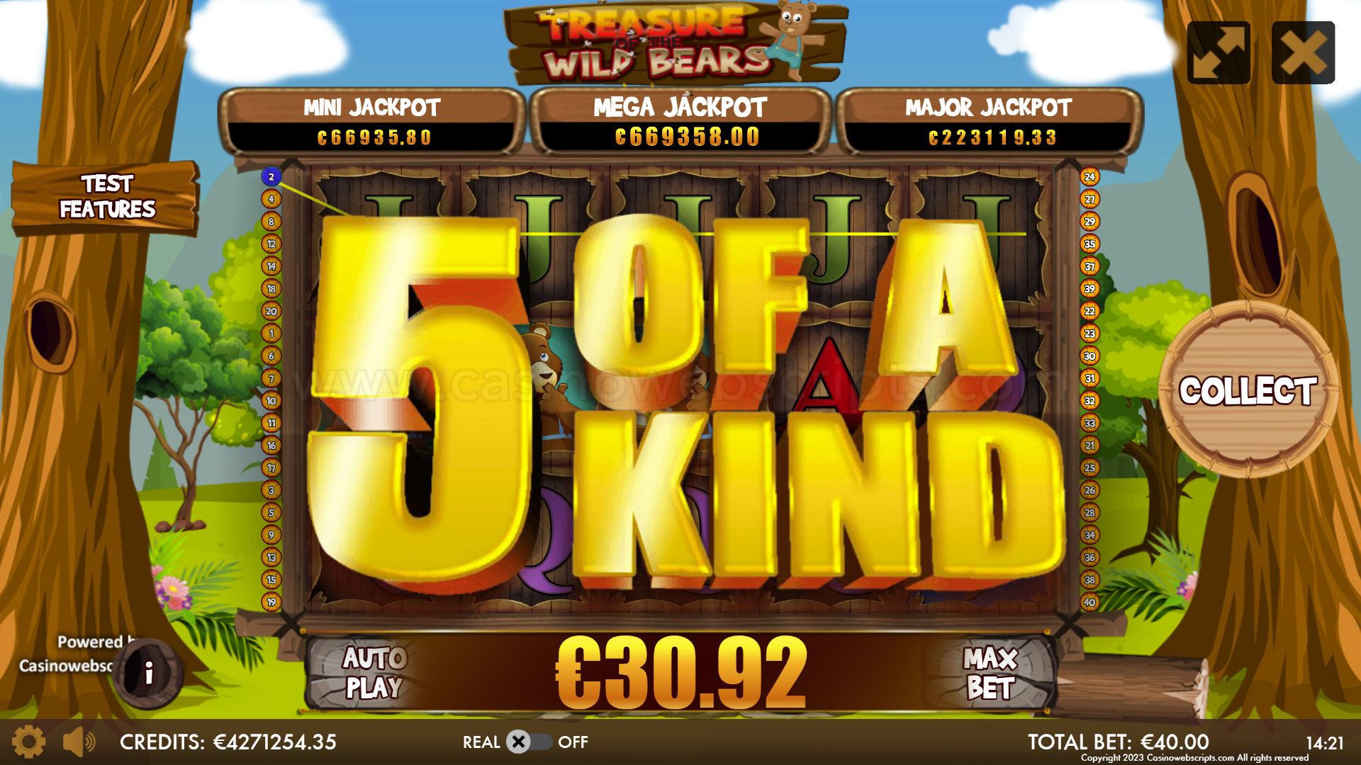 Treasure of the Wild Bears Mobile and PC - 5 of a Kind
