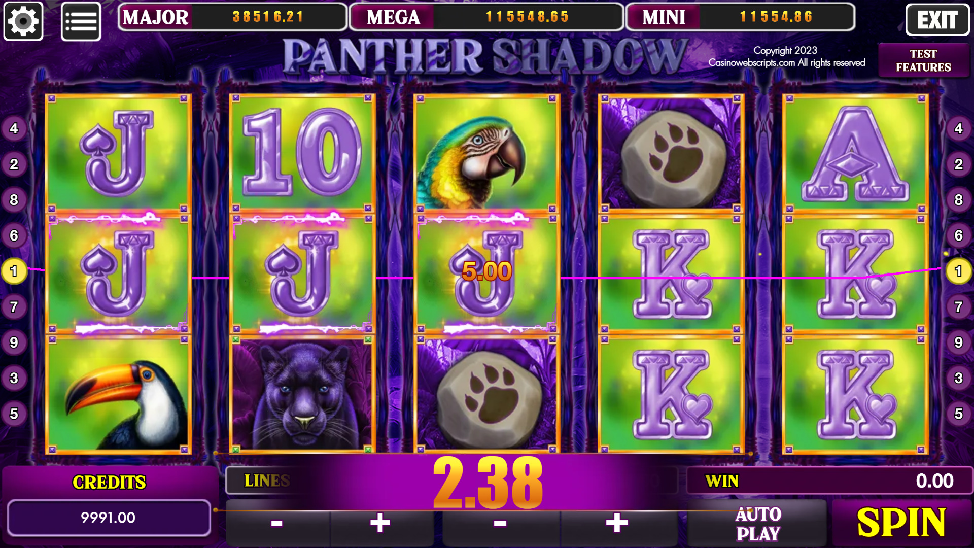 Panther Shadow - Paylines