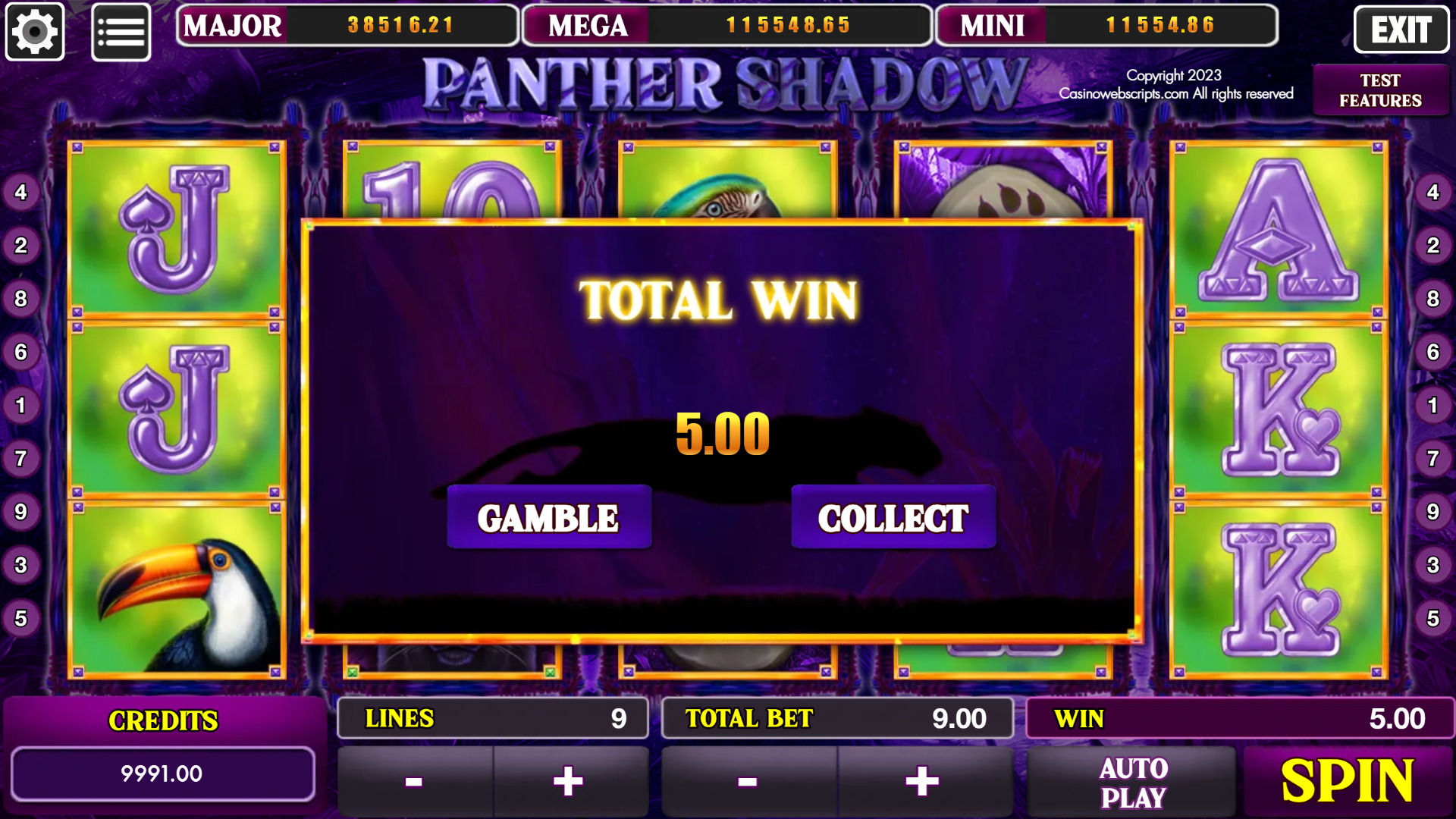 Panther Shadow big win