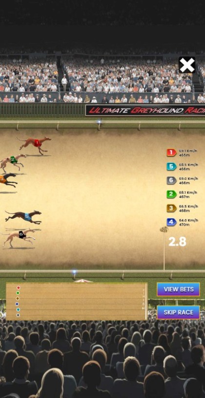 Greyhound Dog Racing Exacta - Mobile and PC — portrait